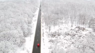 Ormanın ortasında bir yol görünümünü kış karla kaplı