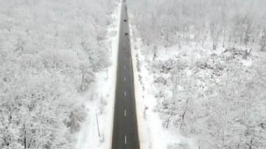 Ormanın ortasında bir yol görünümünü kış karla kaplı