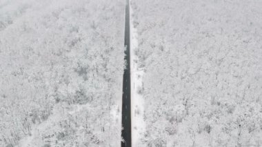 Ormanın ortasında bir yol görünümünü kış karla kaplı