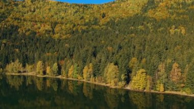 Renkli ormanın havadan görünümü, dağ Gölü kenarında, güzel refliyonlar ile