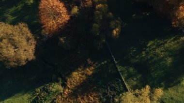 Renkli ormanda Transilvanya yukarıda hava sonbahar görünümü