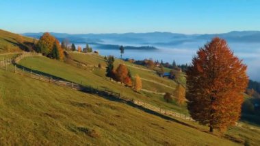 Romen köyde sonbahar yukarıda havadan görünümü