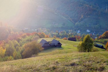 Güzel sonbahar manzara Transylvania'da
