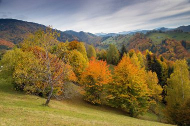Güzel sonbahar manzara Transylvania'da