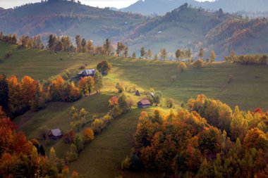 Güzel sonbahar manzara Transylvania'da