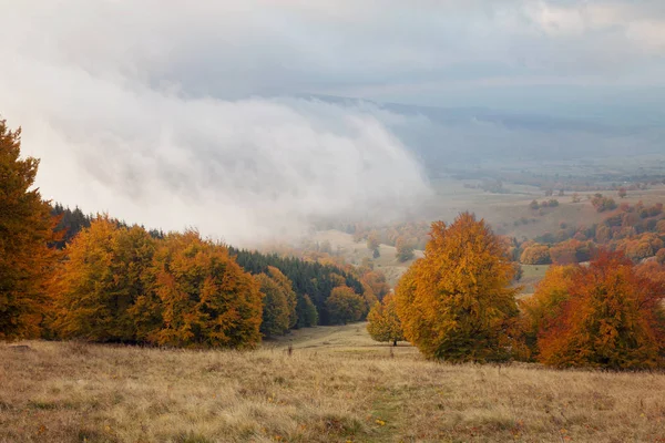 Vakkert Høstlandskap Transilvania – stockfoto