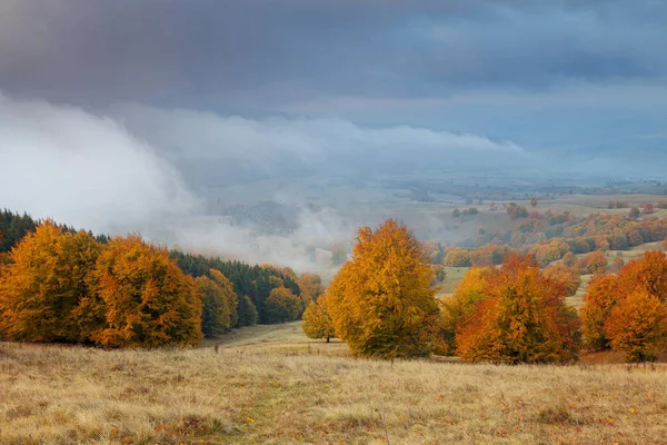 Hermoso Paisaje Otoñal Transilvania —  Fotos de Stock