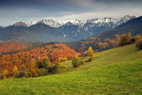 Vackert Höstlandskap Transsylvanien — Stockfoto