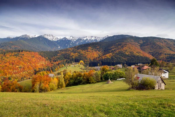 Vackert Höstlandskap Transsylvanien — Stockfoto