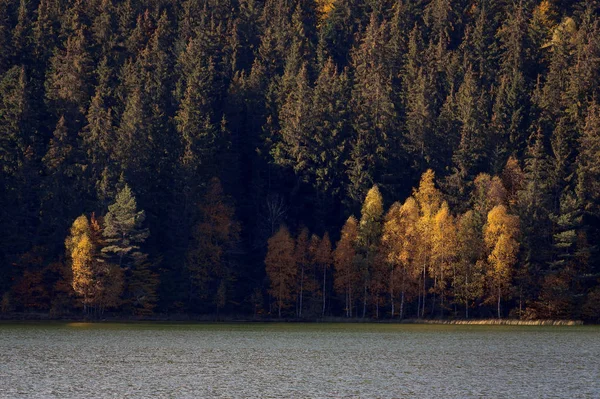 Transylvania'da sonbahar manzara