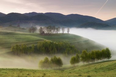 Sunrise sisli manzara güzel ormandaki Transylvani - Romanya