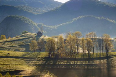 Yaz sisli gündoğumu Transylvania'da güzel orman