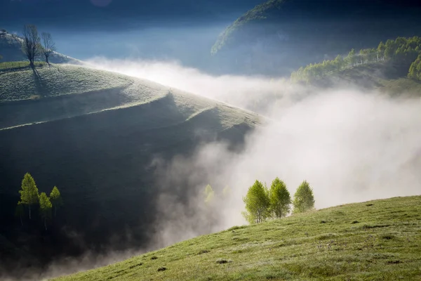 Nascer Sol Paisagem Nebulosa Bela Floresta Transylvani Roménia — Fotografia de Stock