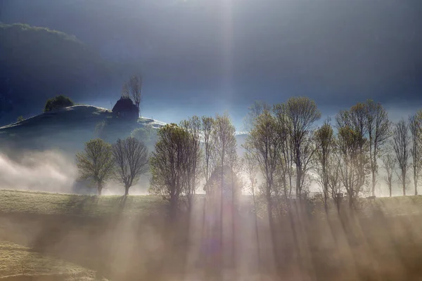 Sommer Neblig Sonnenaufgang Des Schönen Waldes Transsilvanien — Stockfoto