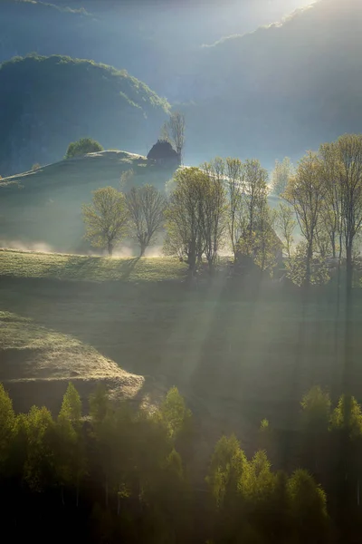 Verão Nebuloso Nascer Sol Bela Floresta Transilvânia — Fotografia de Stock