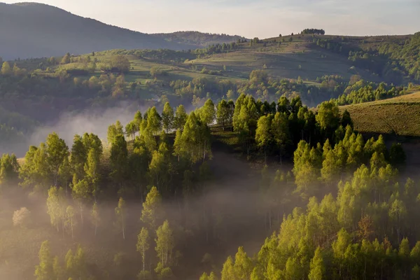 Sunrise Dimmigt Landskap Den Vackra Skogen Transylvani Rumänien — Stockfoto