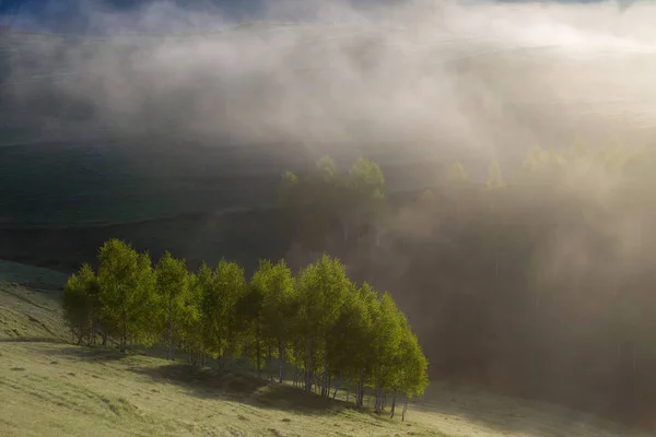 Nascer Sol Paisagem Nebulosa Bela Floresta Transylvani Roménia — Fotografia de Stock