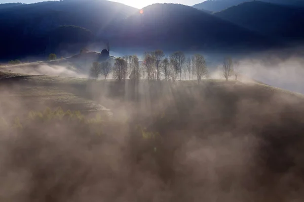 Nyári Ködös Napfelkelte Gyönyörű Erdő Erdélyben — Stock Fotó