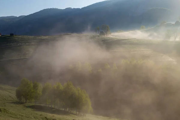 Sunrise sisli manzara güzel ormandaki Transylvani - Romanya