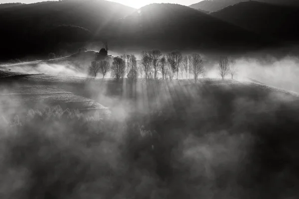 Nyári Ködös Napfelkelte Gyönyörű Erdő Erdélyben — Stock Fotó