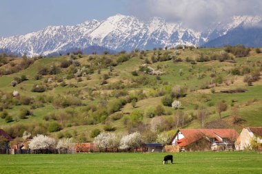 Transilvanya 'da bahar manzarası, Romanya