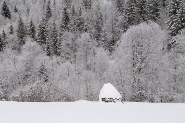 Kış manzara Transylvania'da