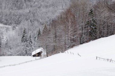 Kış manzara Transylvania'da