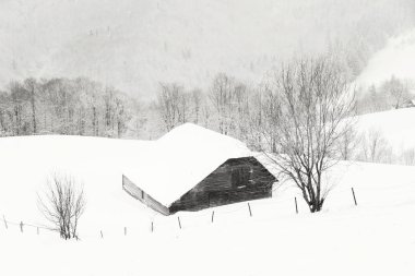 Kış manzara Transilvanya, Romanya