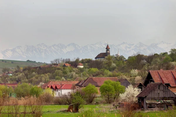 Vårlandskap Transsylvanien Rumänien — Stockfoto