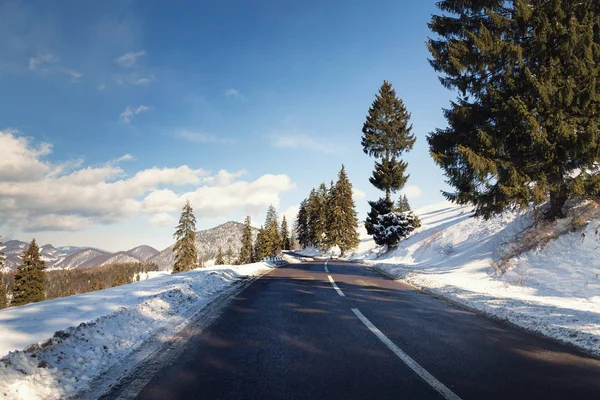 Kış dağ yolu Transylvania'da
