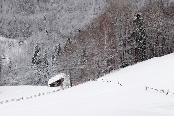 Kış manzara Transylvania'da