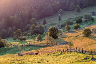 Summer rural landscape in Romania clipart