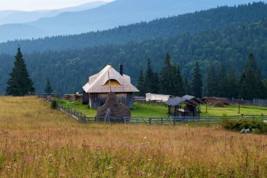 Summer rural landscape in Romania clipart