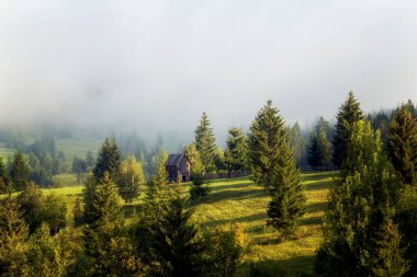 Summer landscape in the Romanian village clipart