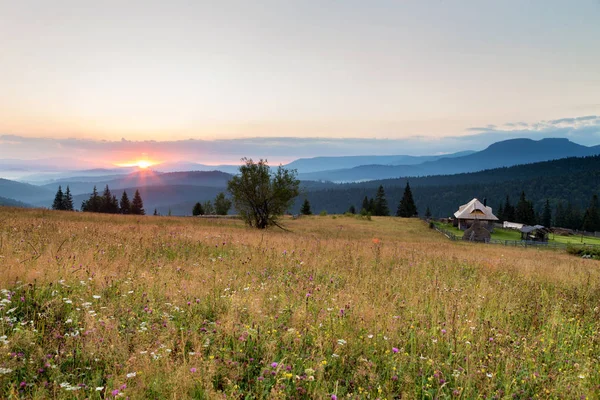 Wschód Słońca Lato Górach Karpackich Rumunia — Zdjęcie stockowe