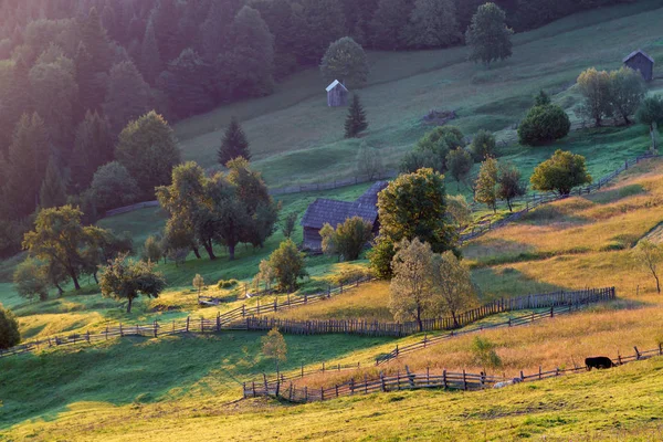 ルーマニアの夏の田園風景 — ストック写真