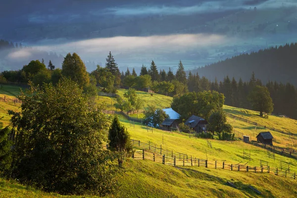 Summer Sunrise Bucovina Romania — Stock Photo, Image