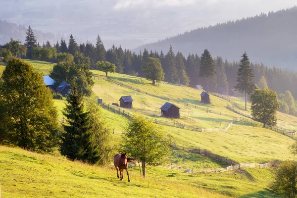 Salida Del Sol Verano Bucovina Rumania — Foto de Stock