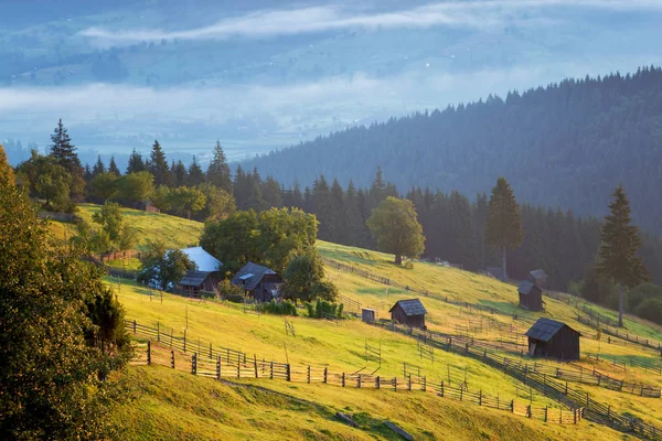 Paisaje Rural Verano Rumania —  Fotos de Stock