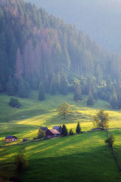 Yaz gündoğumu Bucovina, Romanya