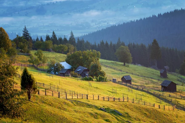 Sommersonnenaufgang Der Bukowina Rumänien — Stockfoto