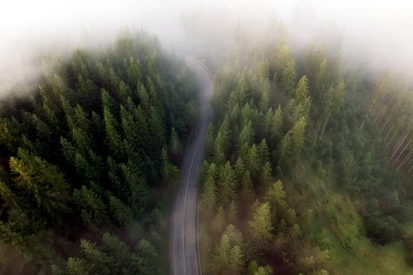 Yaz aylarında dağ yolu havadan görünümü