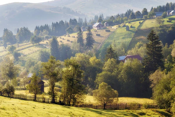 Sommaren Landsbygdens Landskap Rumänien — Stockfoto