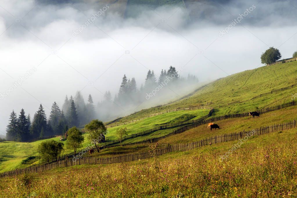 Summer sunrise in Bucovina, Romania