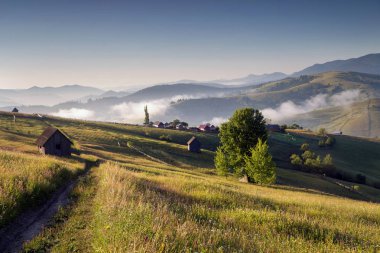 Bucovina 'da yaz sabahı. Romen köyünde sonbahar renkli manzara