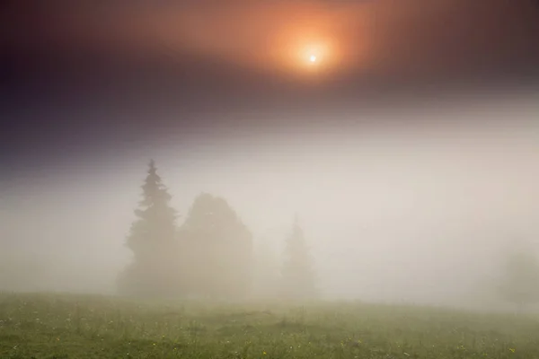 Wunderschöne Landschaft Sonnenaufgang Der Sommerzeit — Stockfoto