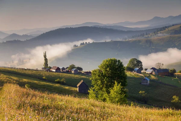 Sumemrtime güzel kırsal gündoğumu