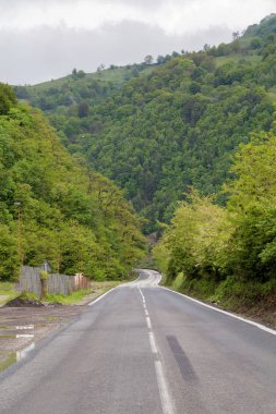 Boş dağ yolu Transylvania'da