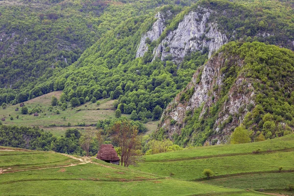Gyönyörű Táj Románia Apuseni — Stock Fotó