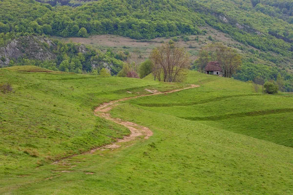 アプセニ ルーマニアの美しい風景 — ストック写真
